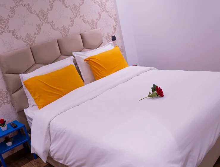 C103 – Splendid Apt with Large Space in Belvédère
