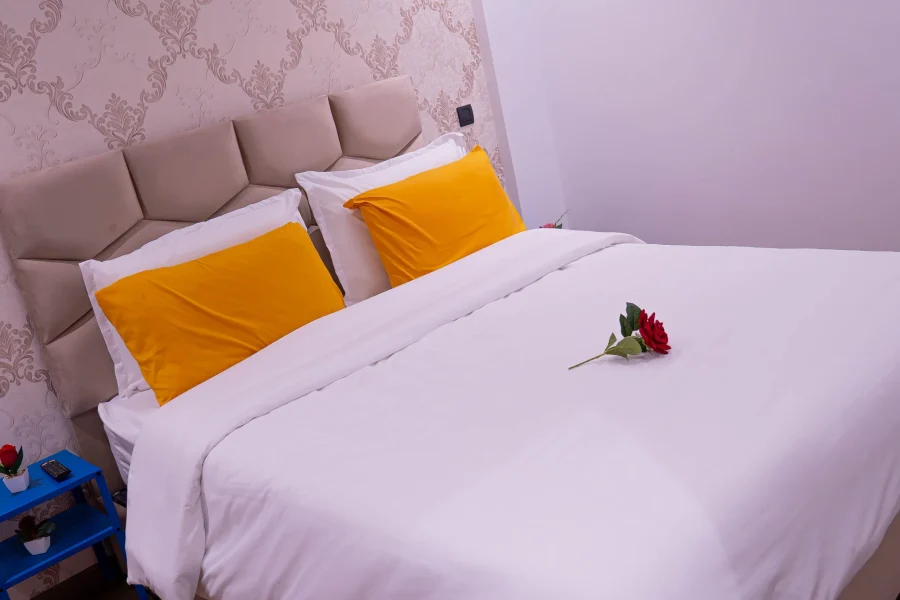 C103 – Splendid Apt with Large Space in Belvédère